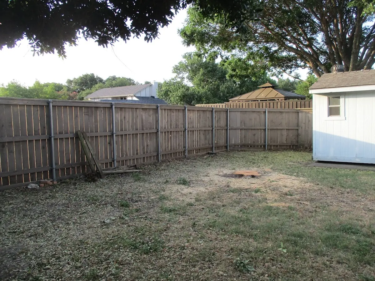 Cleared yard after professional tree removal in Orford
